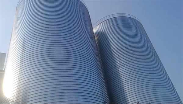 庆云2座混凝土高架卷板仓